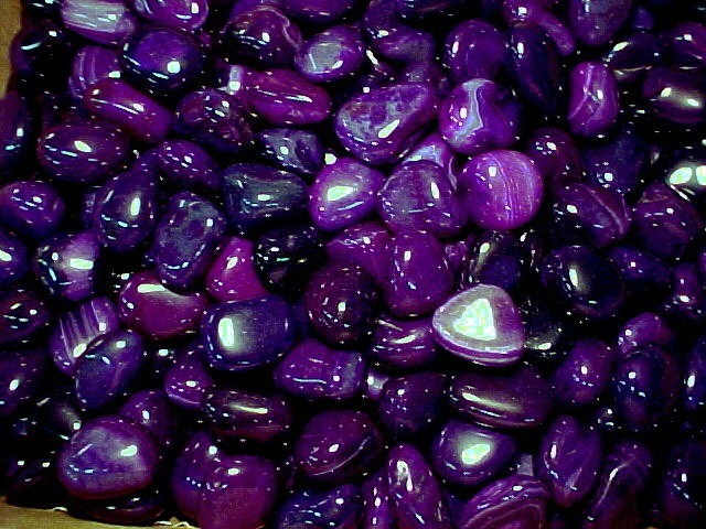 purptum-1.JPG (117953 bytes)